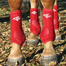 LEG PROTECTIVE BOOTS and WRAPS LEG PROTECTIVE BOOTS and WRAPS
