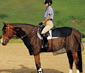 Quiet Ride Bug Armor