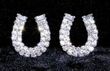 Rhinestone Horseshoe Post Earrings