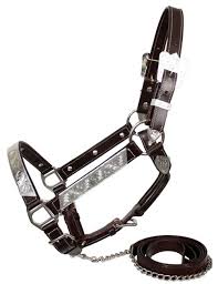 Show Halters
