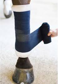 Standing Wraps and Bandages