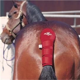 Tail Wrap  by Professional's Choice