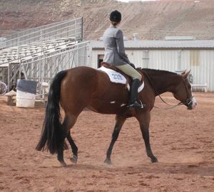 TROPHY TAILS 1 POUND 3-IN-ONE TAIL