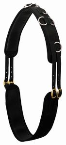 WEAVER Neoprene Surcingle