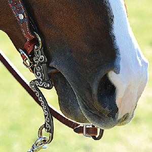 Western Bits, Hackamores & Bosals 