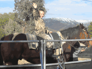 Western Saddle Blankets