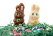 Chocolate Bunnies