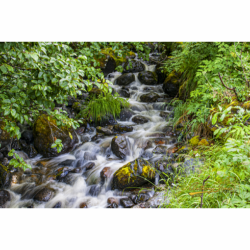 Alaskan Stream