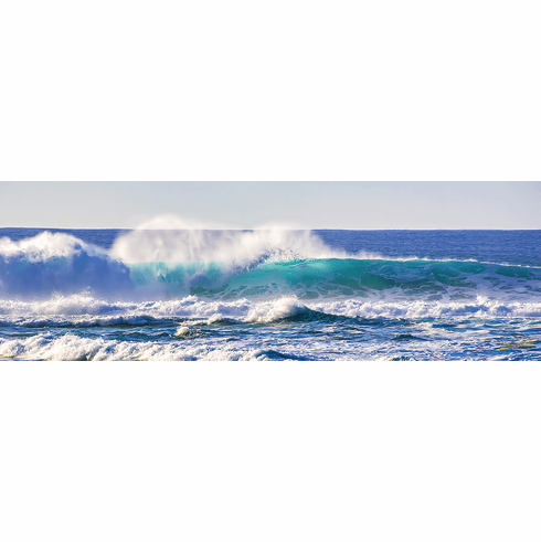 North Shore Wave 348