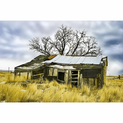 Old Shack
