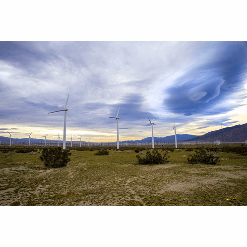 Palm Desert Windmills