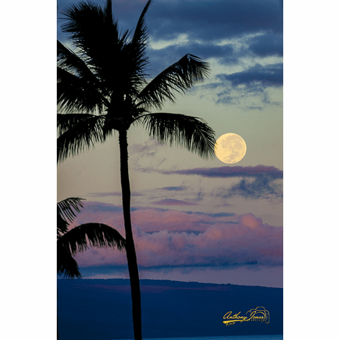Pastel Moon
