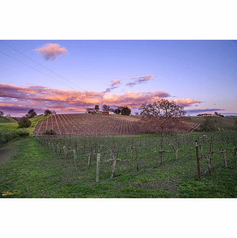 Sunset Over Paso Robles Winery