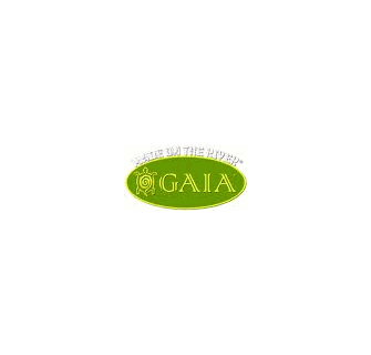Gaia Sports PVC-Free Big Swell Paddle Float