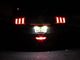 2015 2016 2017 Ford Mustang LED License Plate Lights 6000K