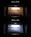 Ford Mustang 2010 - 2014 LED License Plate Lights Ford Mustang 2010 - 2014 LED License Plate Lights
