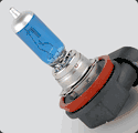 H11 Bulbs