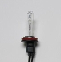 H11 HID Bulbs