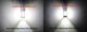 H16 (5202) Ultra High Output White LED bulbs (2 bulbs) H16 (5202) Ultra High Output White LED bulbs (2 bulbs)