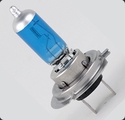 H7 Bulbs