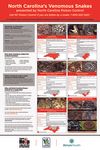 Snake Poster