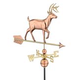 White Tail Buck 