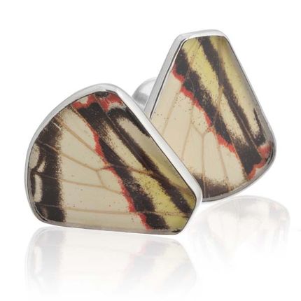 Aymara Convex White Tiger Butterfly Cufflinks