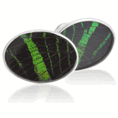 Aymara Oval Forest Green Butterfly Cufflinks