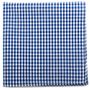 Blue Gingham Cotton Pocket Square