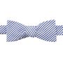 Blue Striped Cotton Bowtie