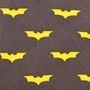 Dark Knight Big Boys' Silk Tie