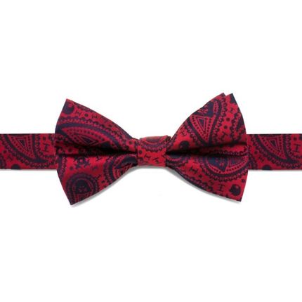 Darth Vader Paisley Big Boys' Silk Bow Tie
