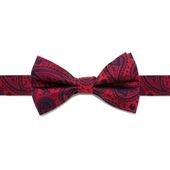 Darth Vader Paisley Big Boys' Silk Bow Tie