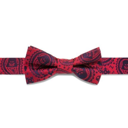 Darth Vader Paisley Boys' Silk Bow Tie