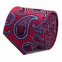 Darth Vader Red Paisley Tie