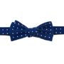 Navy and White Polka Dot Wool Bow Tie
