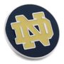 Notre Dame Lapel Pin