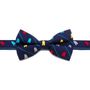 R2D2 Striped Big Boys' Silk Bow Tie