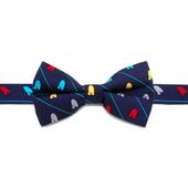 R2D2 Striped Big Boys' Silk Bow Tie