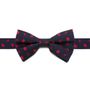 Star Wars Battle Ships Big Boys' Silk Bow Tie