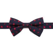 Star Wars Battle Ships Big Boys' Silk Bow Tie