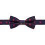 Star Wars Battle Ships Boys'  Silk Bow Tie