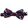 Star Wars R2D2 Patriotic Bowtie