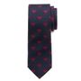 Superman Big Boys' Silk Tie