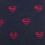 Superman Big Boys' Silk Tie