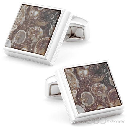 Tateossian Fossil Turritella Cufflinks