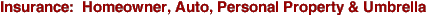 Insurance:  Homeowner, Auto, Personal Property & Umbrella
