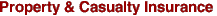 Property & Casualty Insurance