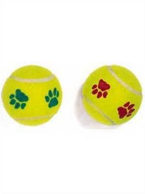 Ethical Mint Flavor Pawprint Tennisball for Dogs, 2-Pack