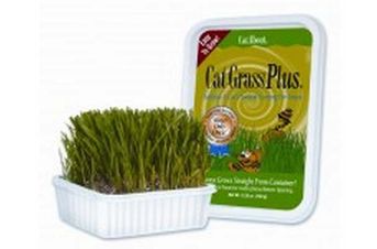 Gimborn Cat Grass Plus 5oz
